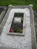 image of grave number 119337